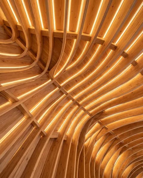 Plafond courbe en lattes de mélèze